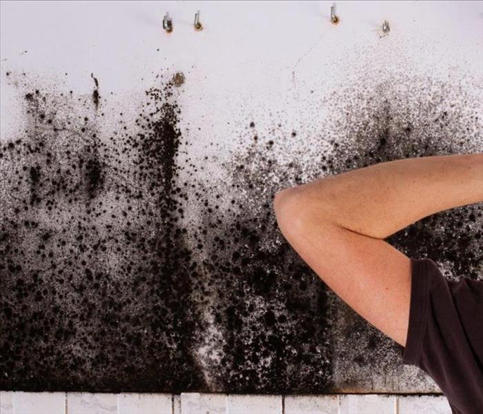 man facing wall with black mold